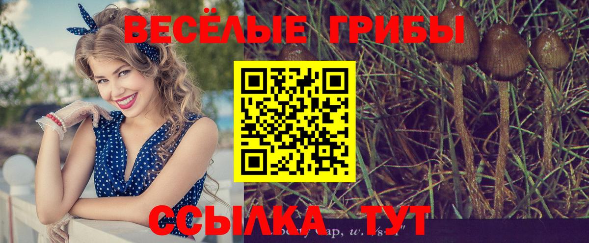Псилоцибиновые грибы мухоморы  Вход с VPN  Псилоцибиновые грибы прущие грибы  закладка  Россошь 