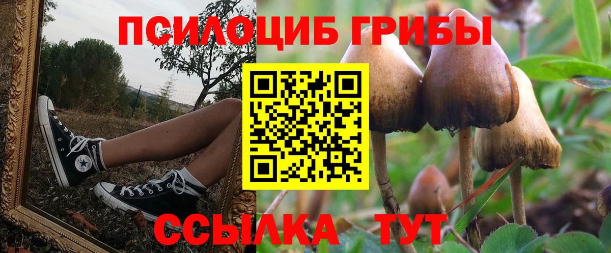 Галлюциногенные грибы MAGIC MUSHROOMS Россошь